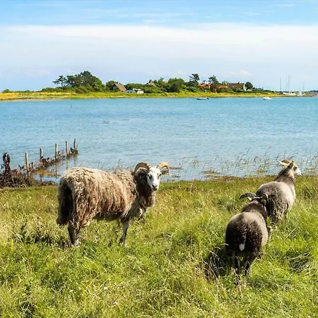 20612-samso-strandkrogen-43 Saelvig