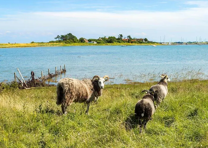20612-samso-strandkrogen-43 Sælvig
